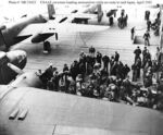 h53423.jpg