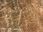 pic5.jpg