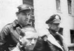 POW006.jpg
